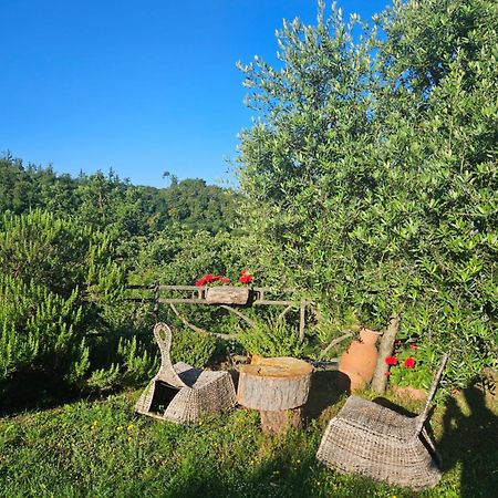 ברברינו די מוג'לו San Martino Country Villa B&B מראה חיצוני תמונה