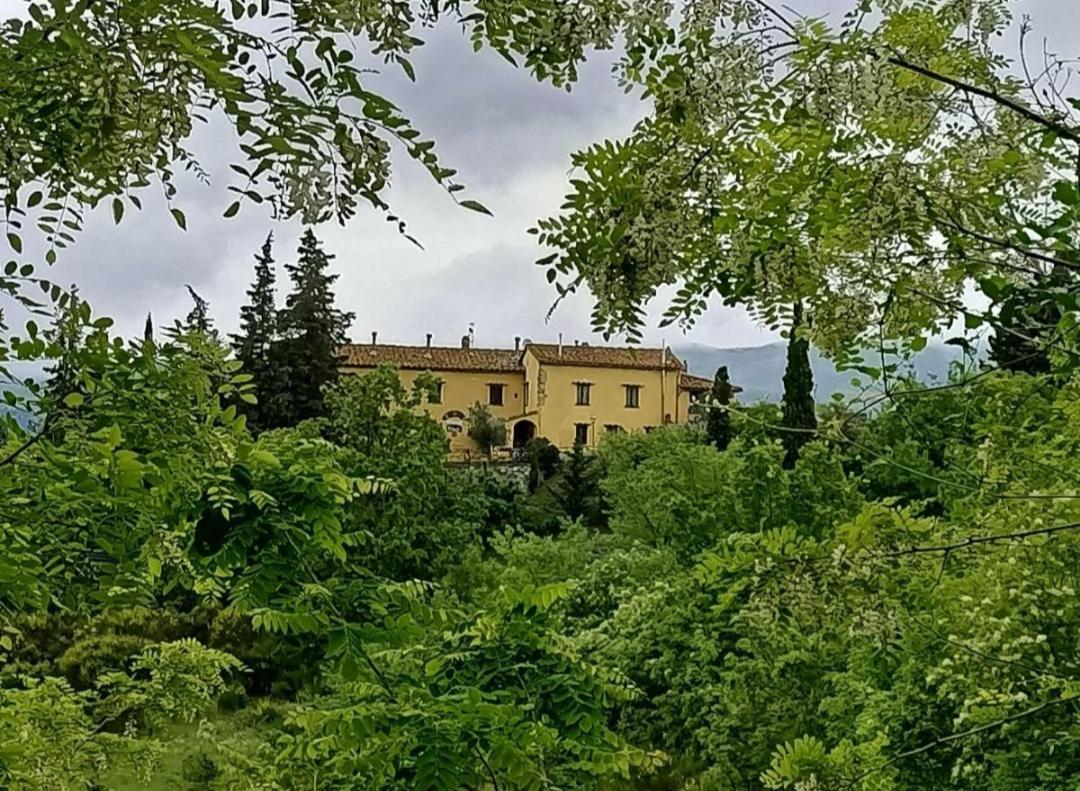 ברברינו די מוג'לו San Martino Country Villa B&B מראה חיצוני תמונה