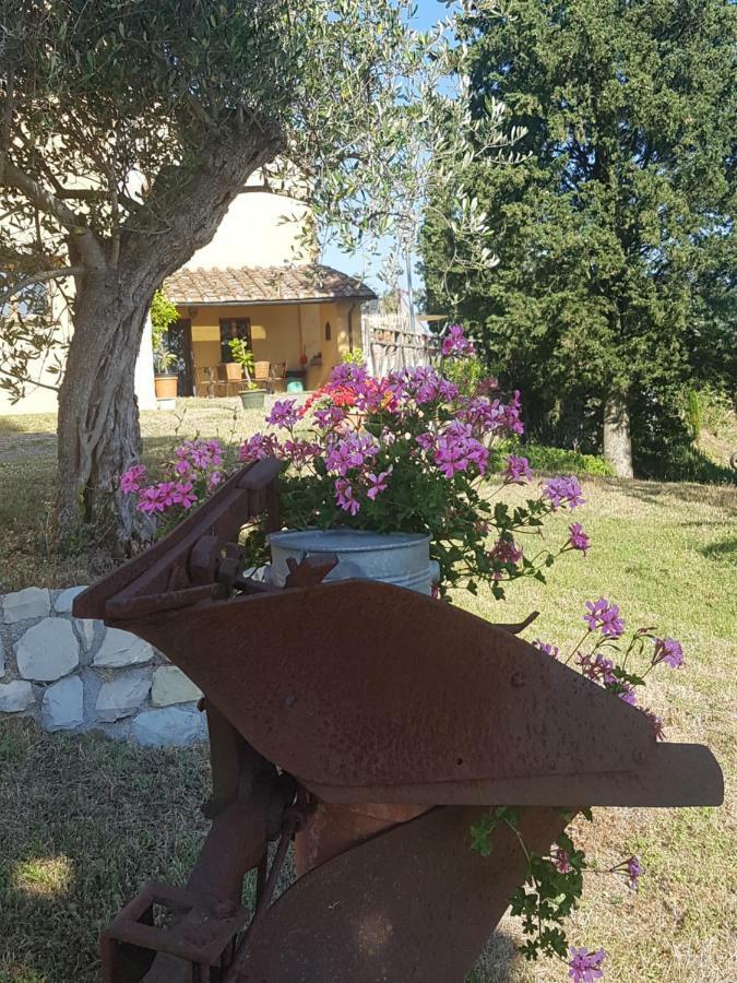 ברברינו די מוג'לו San Martino Country Villa B&B מראה חיצוני תמונה